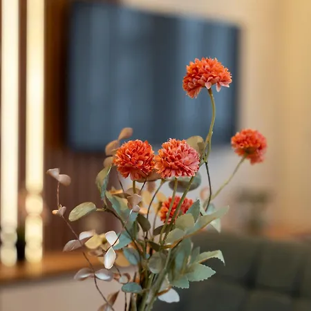 & Pino Mons 1 Apartment *