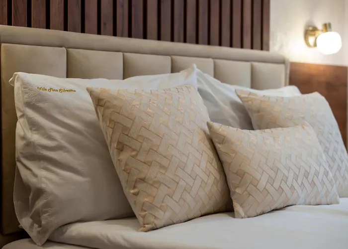 & Pino Mons 1 公寓 兹拉蒂博尔