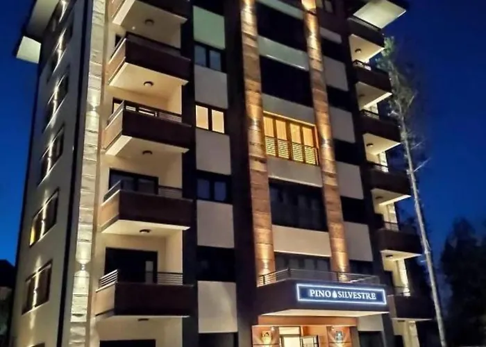 Apartment & Pino Mons 1 *